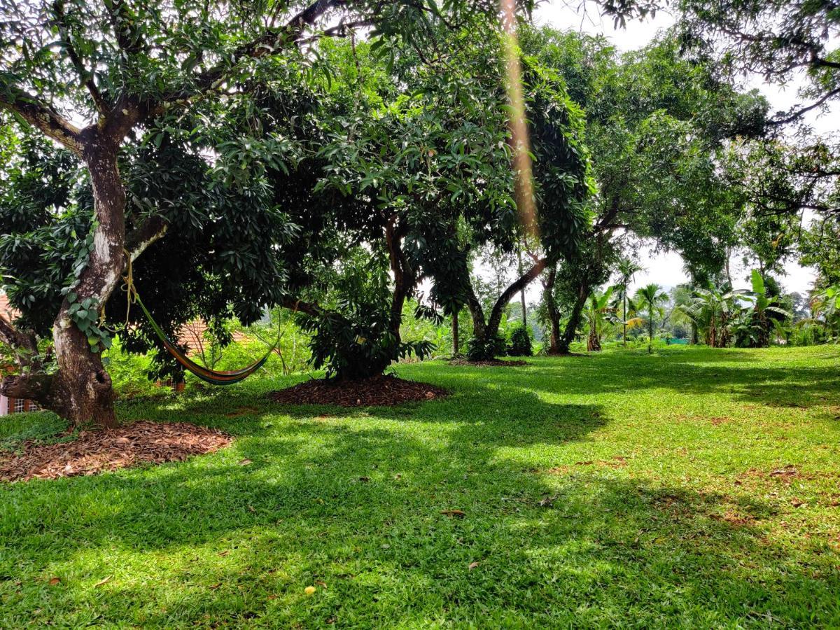 Carmel Tourism Village Kotamangalam Esterno foto