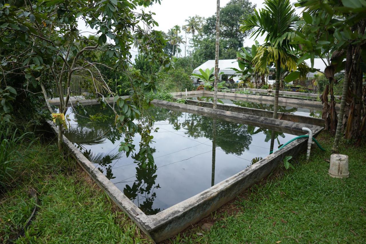 Carmel Tourism Village Kotamangalam Esterno foto