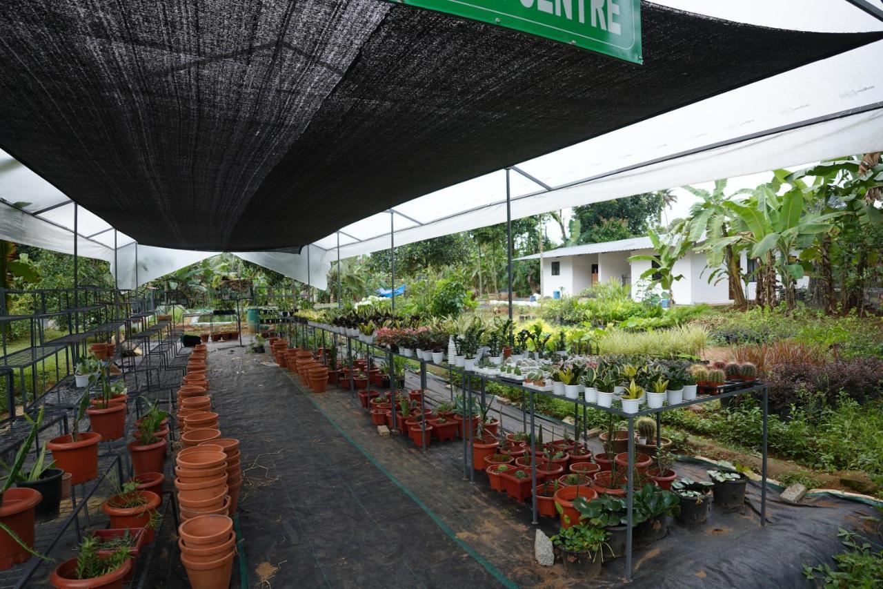 Carmel Tourism Village Kotamangalam Esterno foto